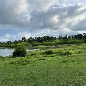The Wild Fo'Rest Resorts